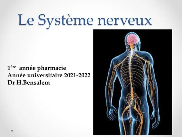 Cours: Le Système nerveux – Anatomie et organisation du système nerveux – Physiologie générale
