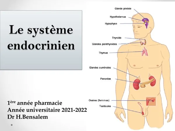 Cours: Le système endocrinien – 1ère année pharmacie – Physiologie