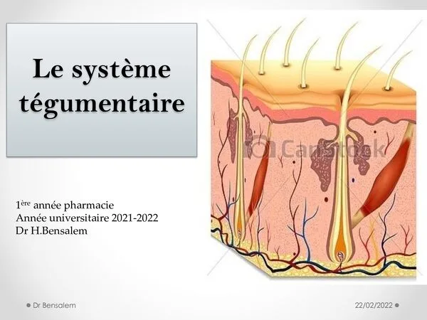 Cours : Le système tégumentaire – Module d’anatomie/histologie en 1ère année pharmacie – Anatomie et histologie