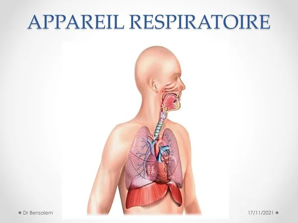 Cours : Appareil respiratoire – Anatomie et mécanismes de la respiration