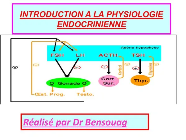 Cours: Introduction à la physiologie endocrinienne – Propriétés générales des hormones