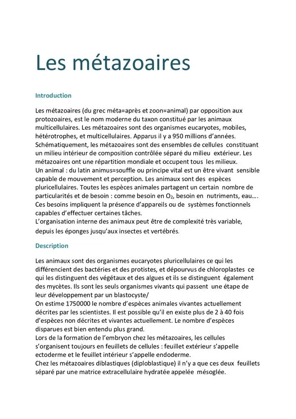 Cours: Les métazoaires – Biologie animale