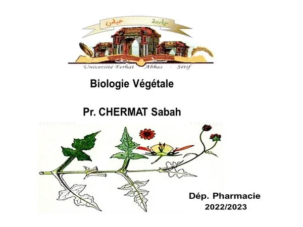 المحاضرة 2: Les Thallophytes Autotrophes – Biologie Végétale