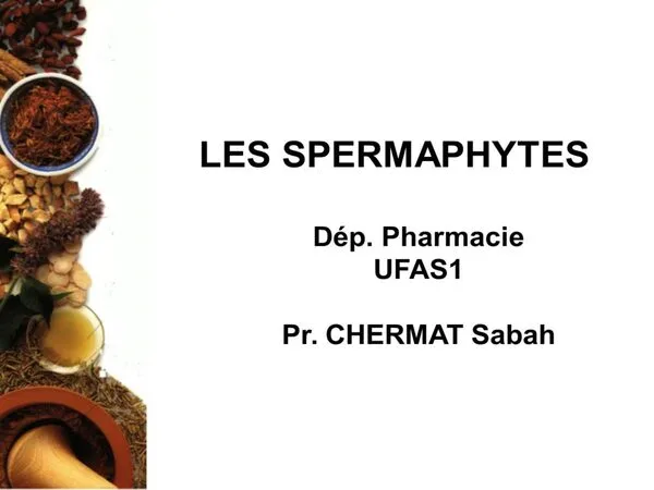 المحاضرة 5: Les Spermatophytes – علم النبات