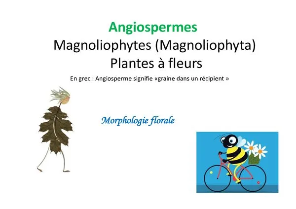 المحاضرة 7: مورفولوجيا الزهرة وتركيب الأندروسيوم – كاسيات البذور – Angiospermes